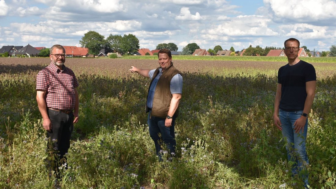 Auf Initiative der CDU Emsbren ist sdlich der Richthofstrae eine Blumenwiese angelegt worden. Darauf verweisen (von links) Thomas Schtte, Niels Kruthoff und Matthias Stein. Im Jahr 2021 soll das Areal als Baugebiet ausgewiesen werden.